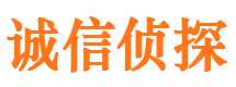 株洲诚信私家侦探公司